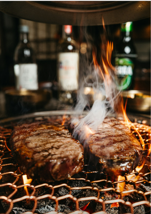 Master the art of cooking on the grill i